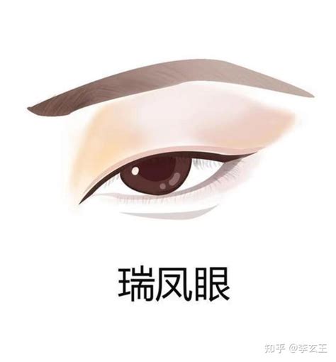 杏眼 性格|常见眼型解析，你了解自己的眼型吗？